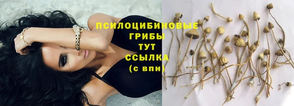 прущая мука Армянск