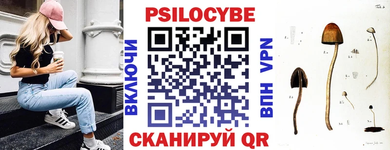 Псилоцибиновые грибы Magic Shrooms  маркетплейс наркотические препараты  Сланцы 